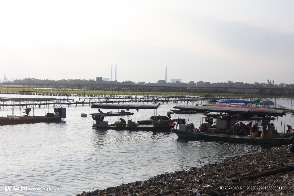 河畔停泊的船只景观