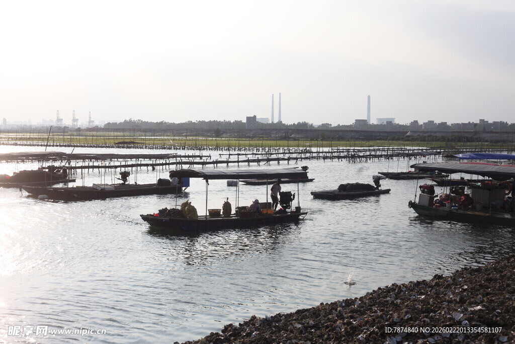 岸边停泊的多艘船只