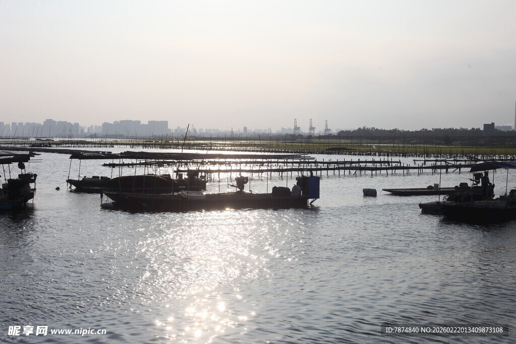 水面停泊船只的宁静景象