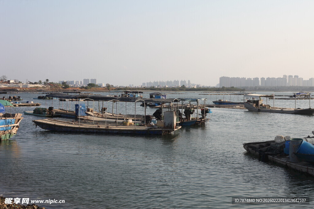 港口停泊的众多船只