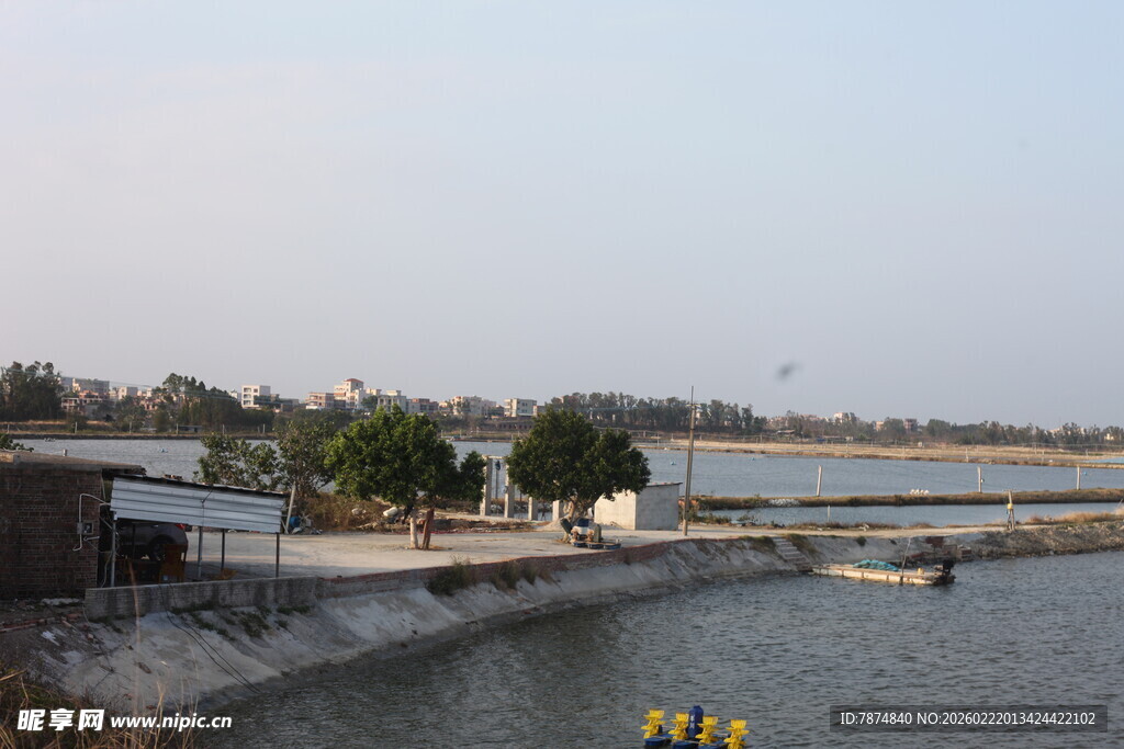 河畔风景 宁静水域景观