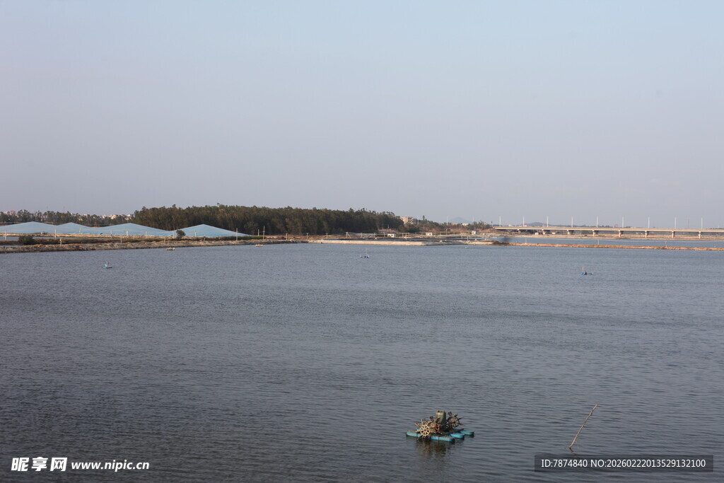 水面孤鸭 宁静自然景象