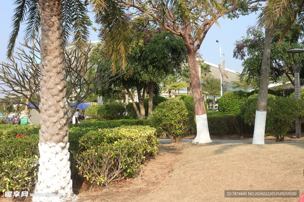 公园内的绿植与小径景观