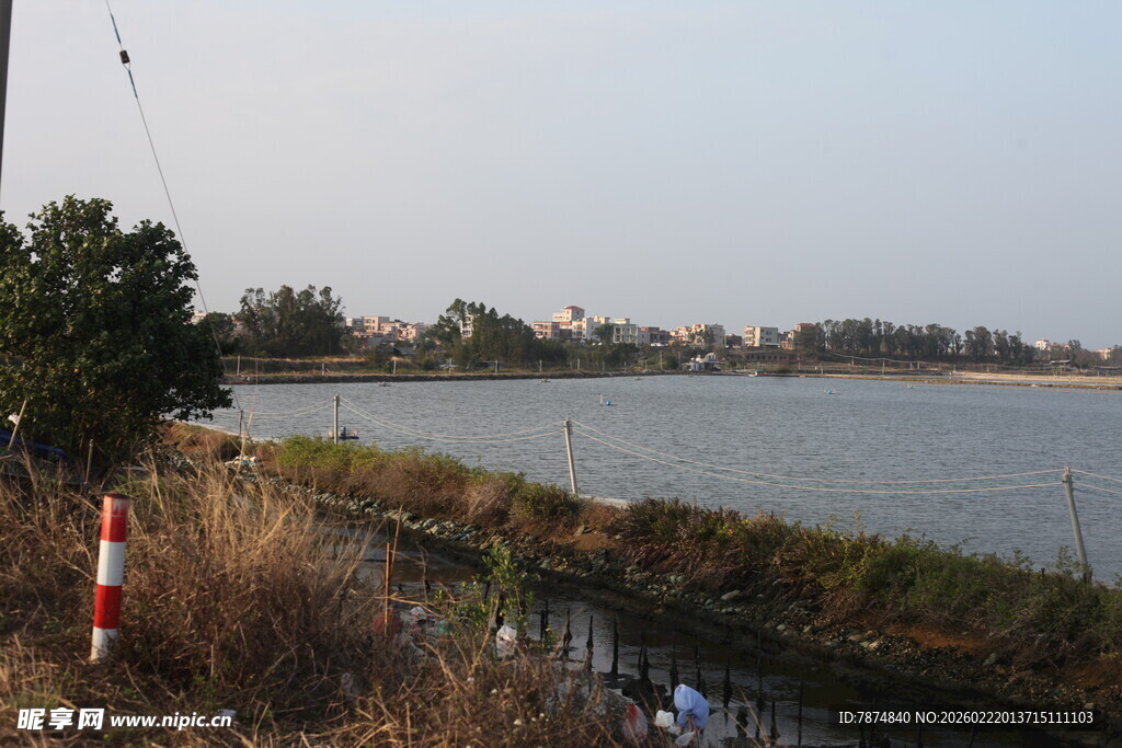 湖畔风光 岸边草木与警示物