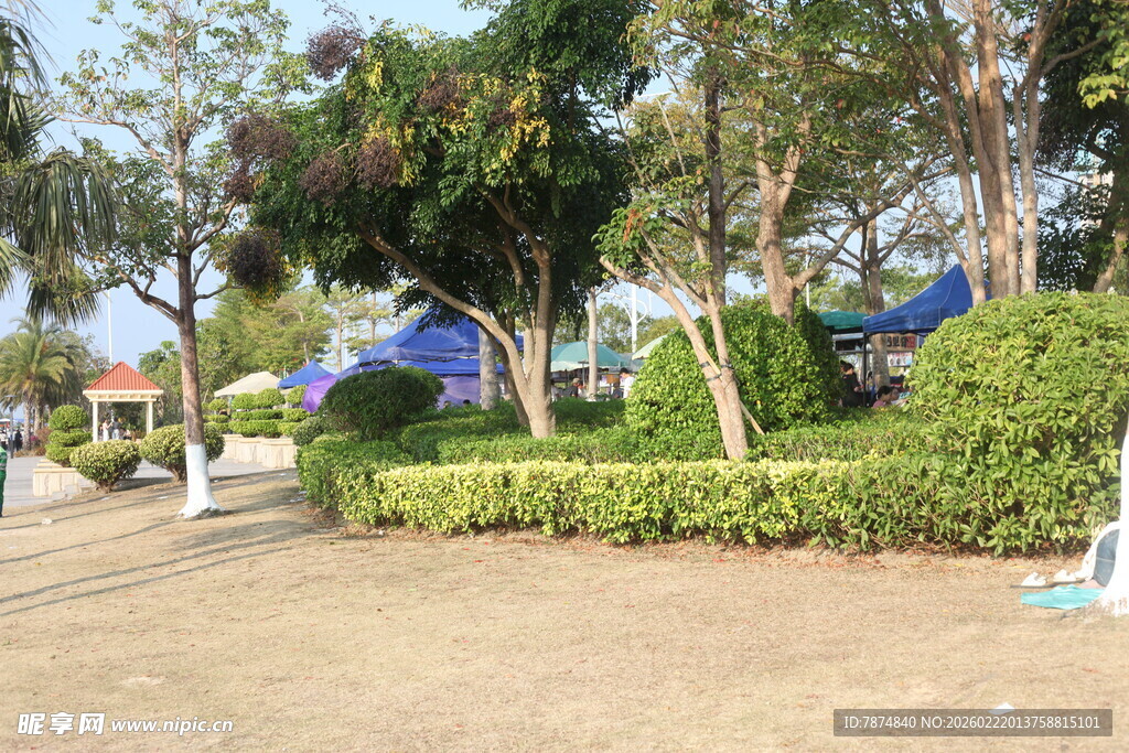 户外绿树环绕的休闲场景