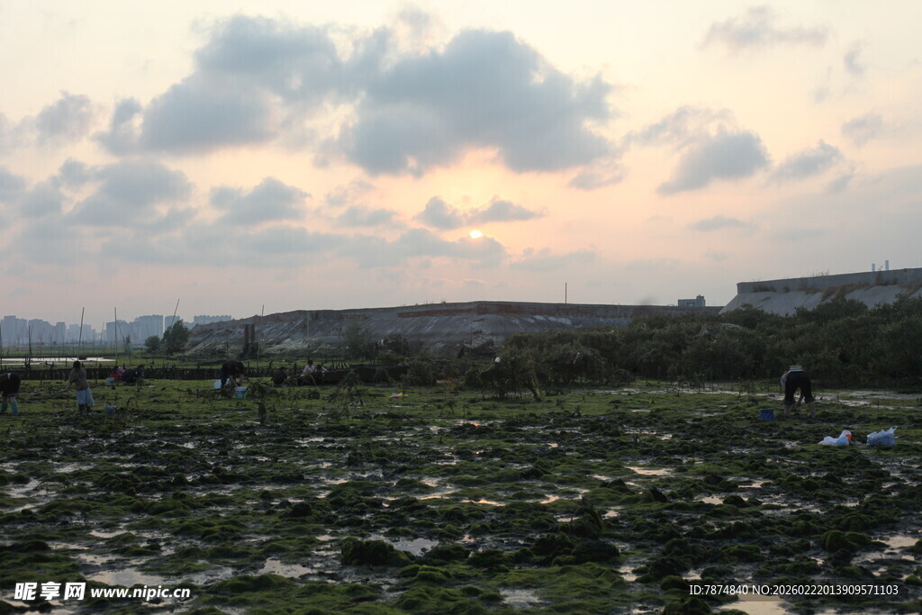 黄昏下的泥泞旷野景色