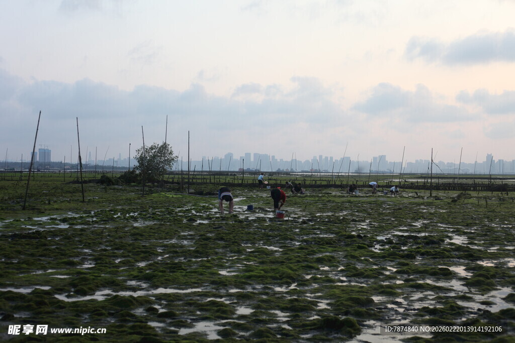 田野风光中的劳作场景