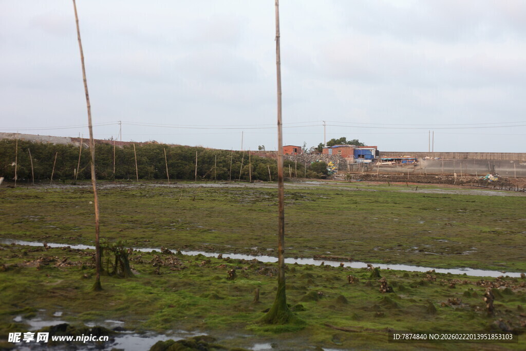 田野风光中的远处建筑