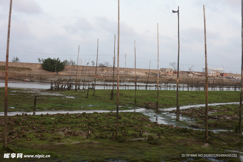 湛江生蚝养殖场
