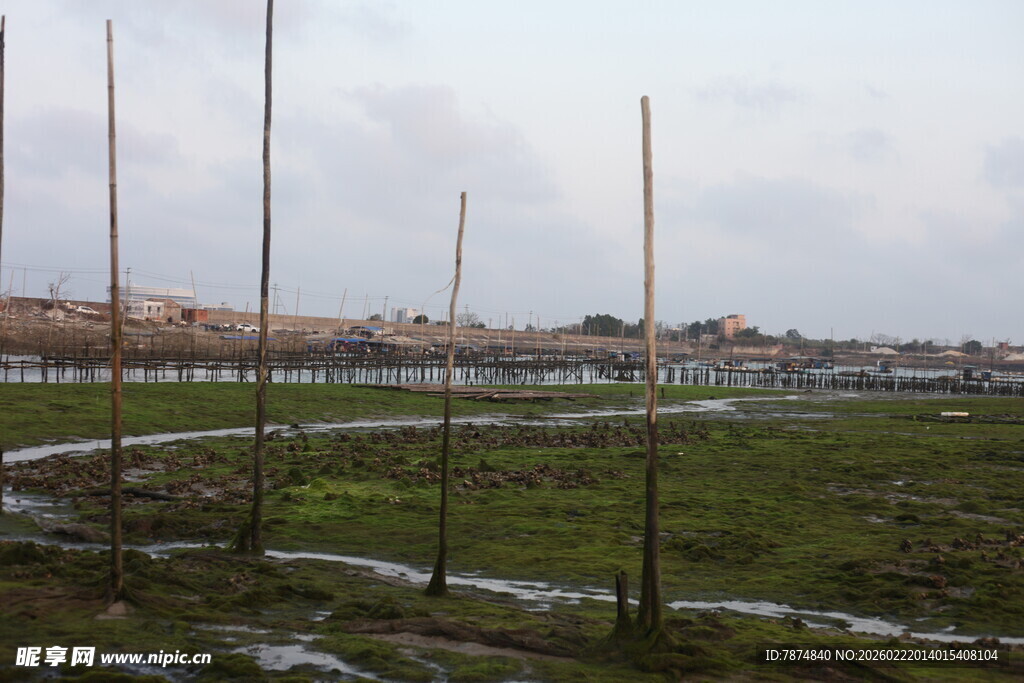 城郊开阔空地风景