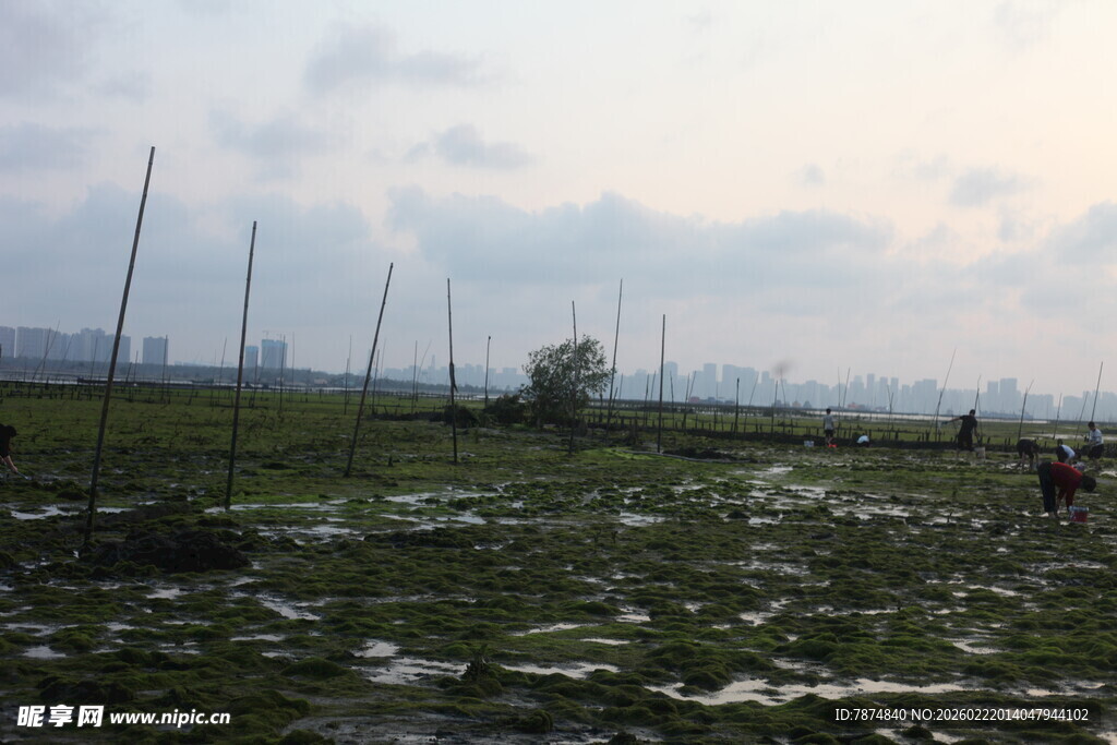 田野景象 远处有人劳作