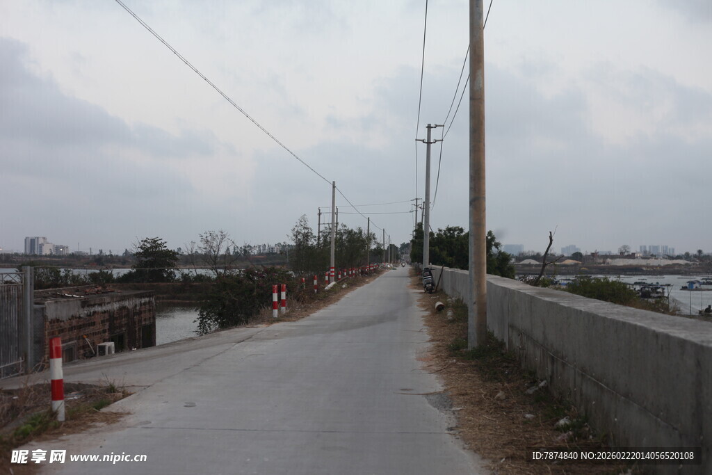 乡村小路旁的宁静景象