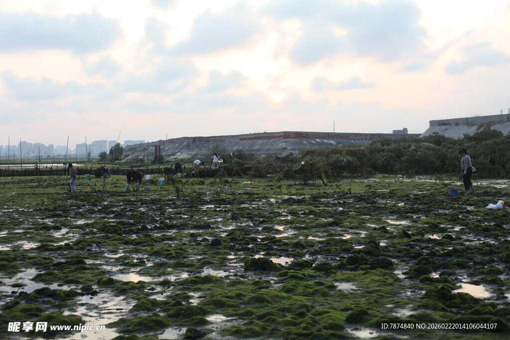 湿地景观 水草繁茂的天地
