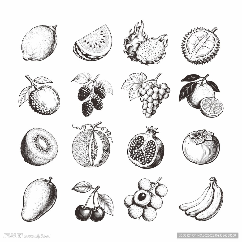 手绘水果集合