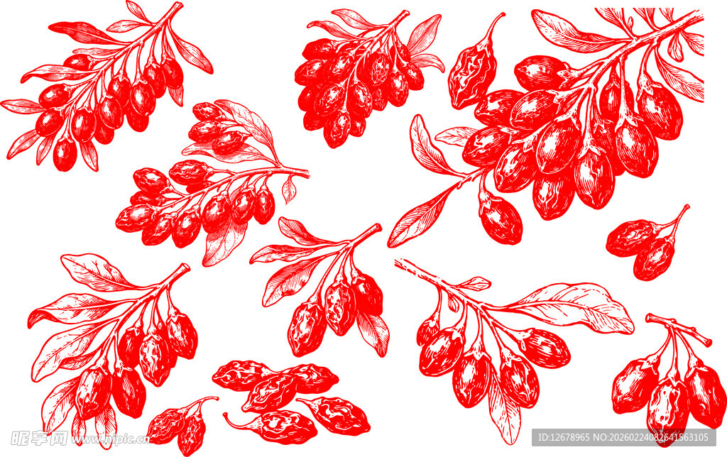 手绘红色枸杞图案元素