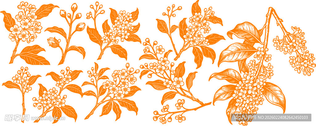 桂花枝叶花朵图案素材