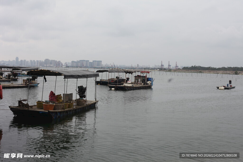 港湾中的多艘船只