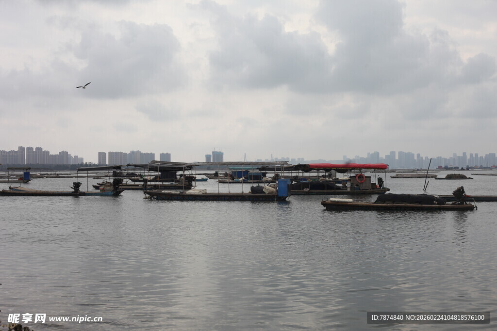 宁静水边停泊的船只景象