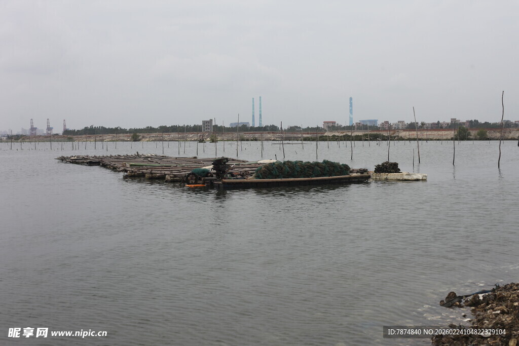 宁静水边停泊的船只景观