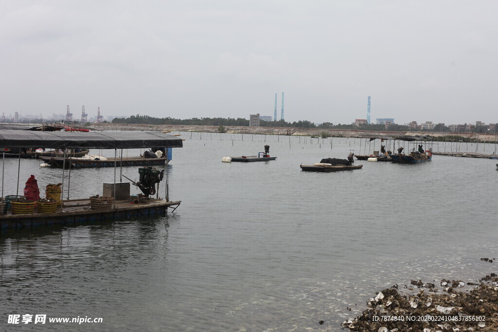 港口停泊的船只景象