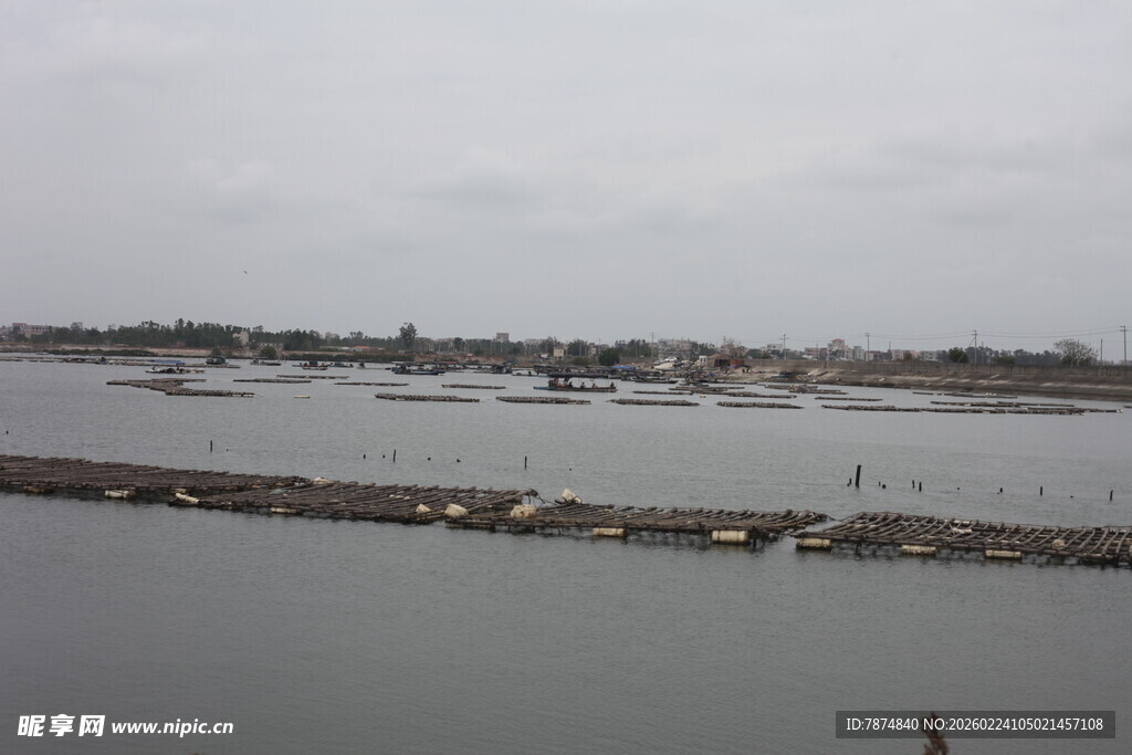 宁静港湾的船只风景