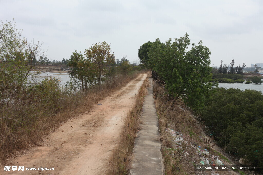 乡间土路 两旁绿树相伴