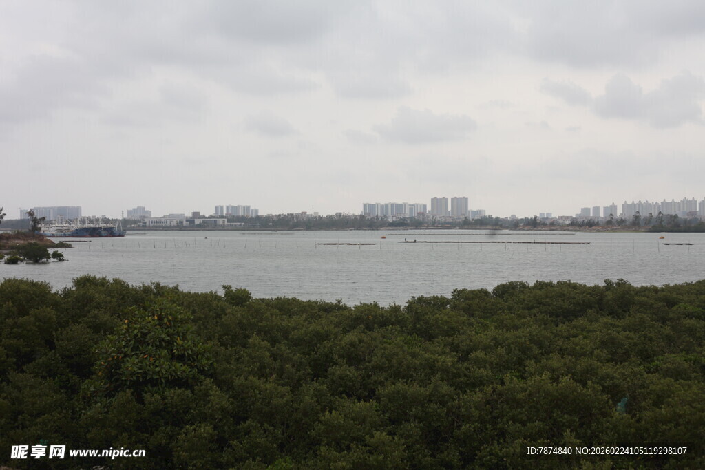 湖畔绿树环绕的城市景观