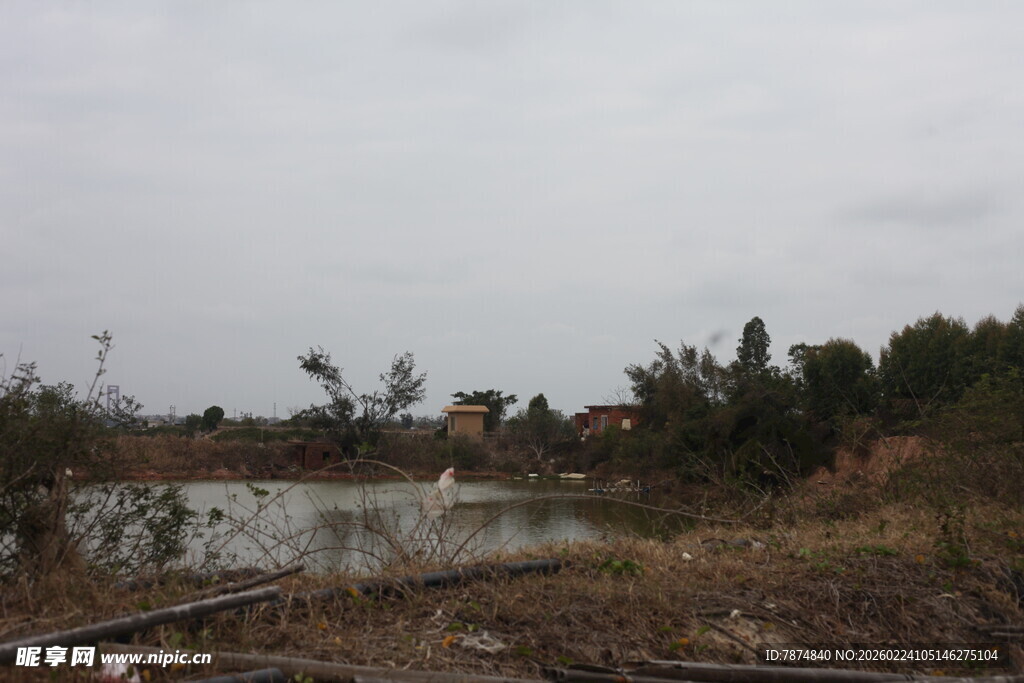 郊外湿地铁轨风景