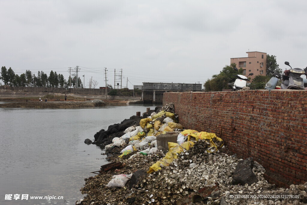 河边垃圾堆积场景