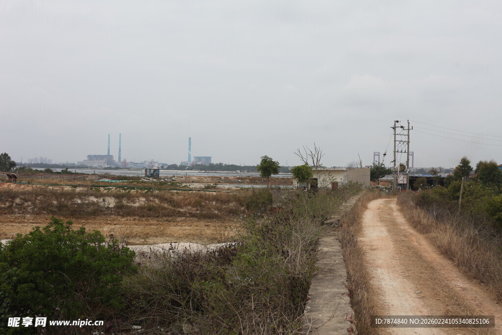 郊外土路旁的开阔景象