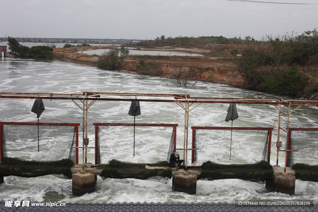 水坝上栖息的鸟儿