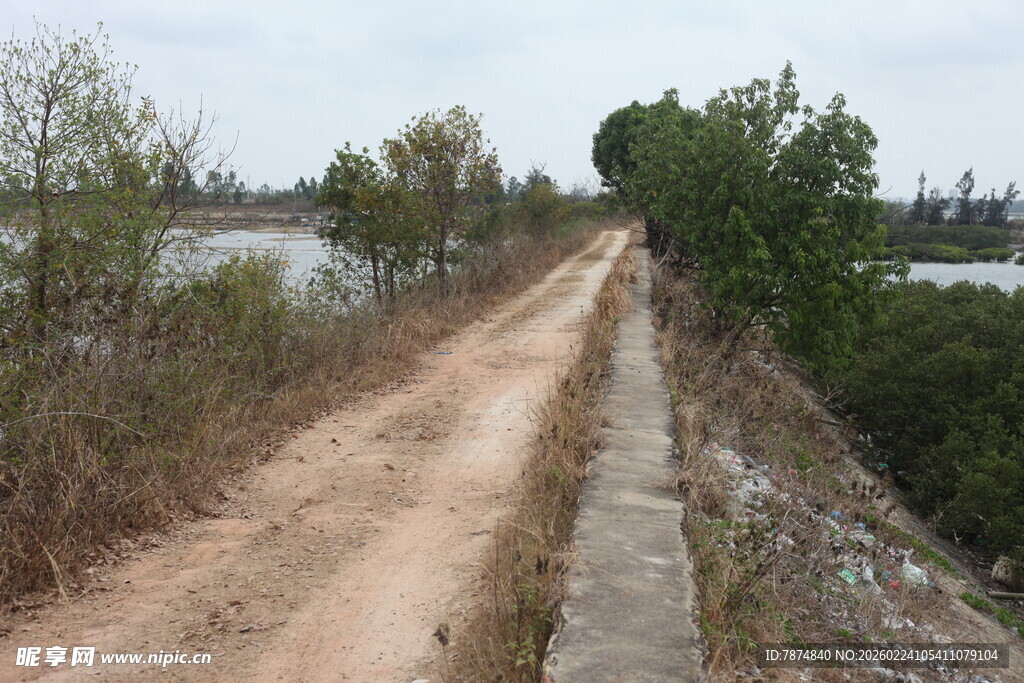 乡间土路旁的河岸风光