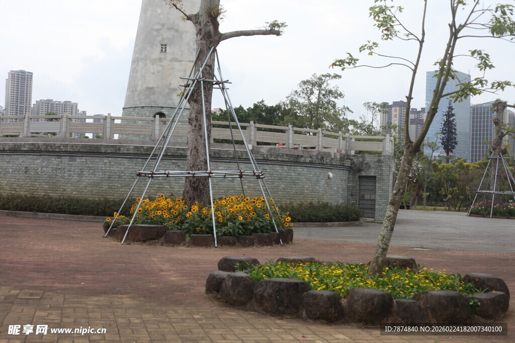 城市花坛与树木景观