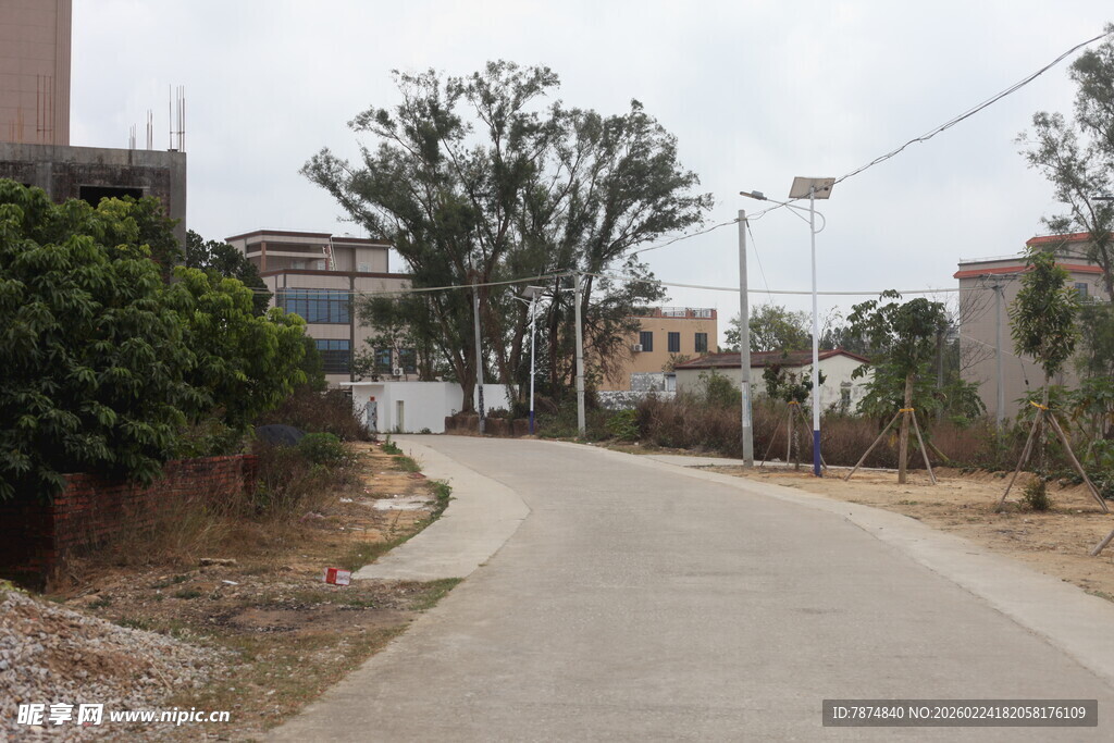 乡村蜿蜒小路旁绿植环绕