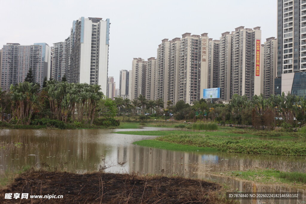 城市河畔高楼景观