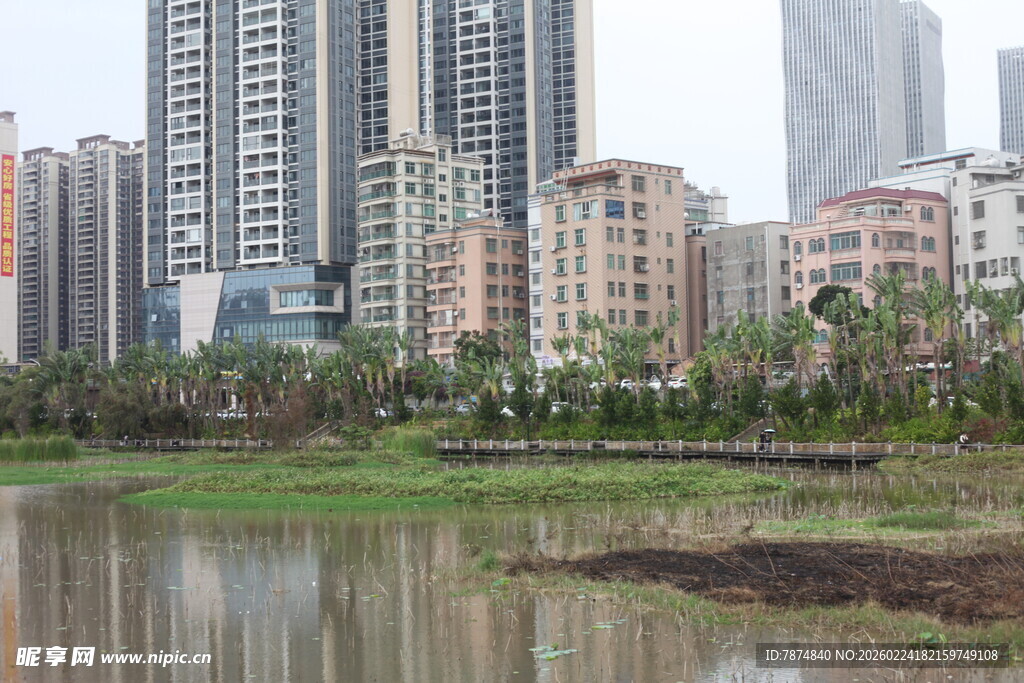 城市湖畔高楼景观