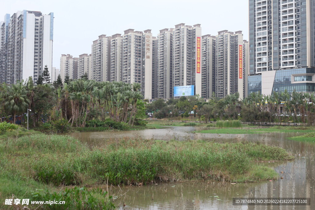 城市湿地旁的高楼景观
