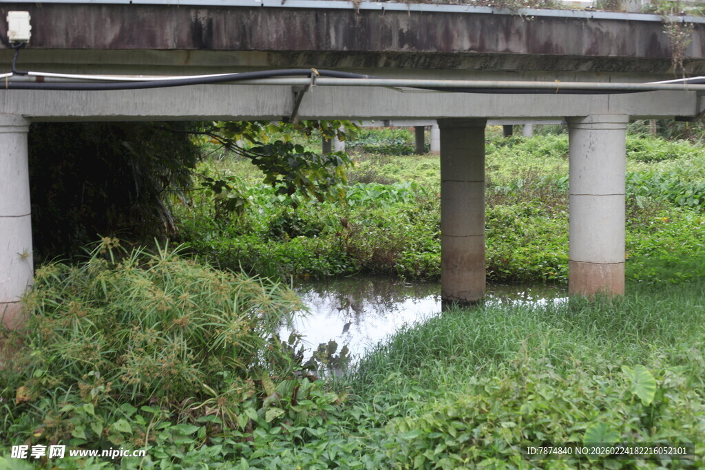 桥下绿植环绕的静谧水域