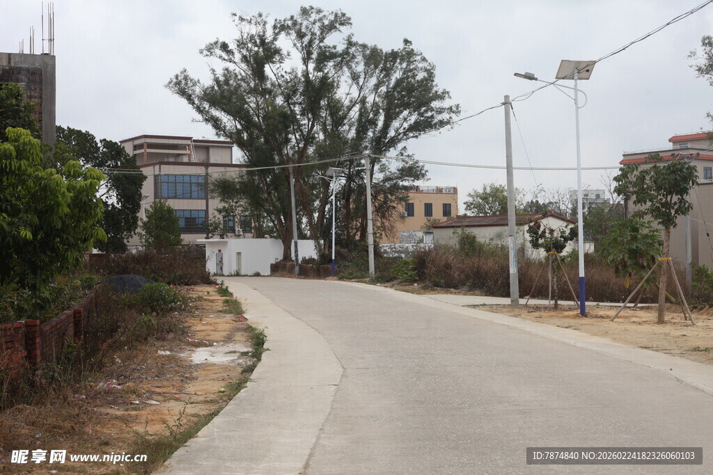 乡村蜿蜒小路及周边景致