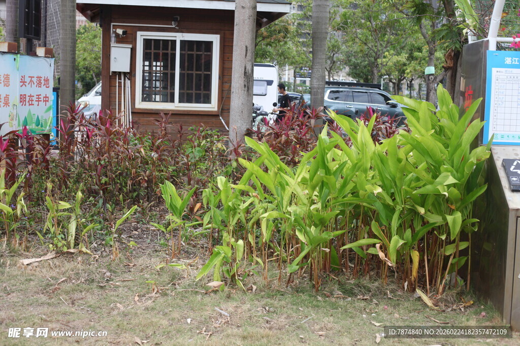 户外小屋旁的绿植景观