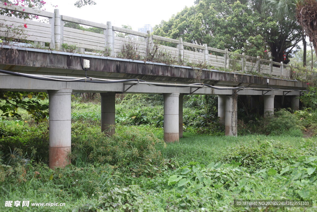 野外老旧桥梁 草木环绕