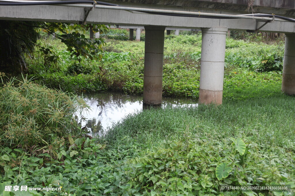 桥下绿植环绕的静谧景象