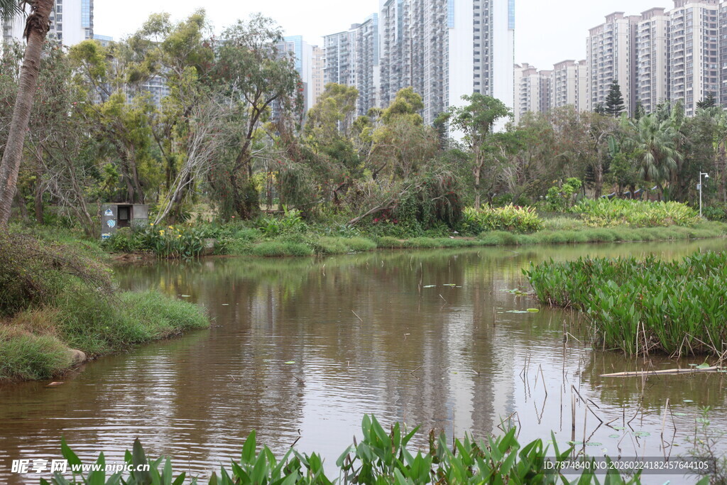 城市边的静谧自然水景