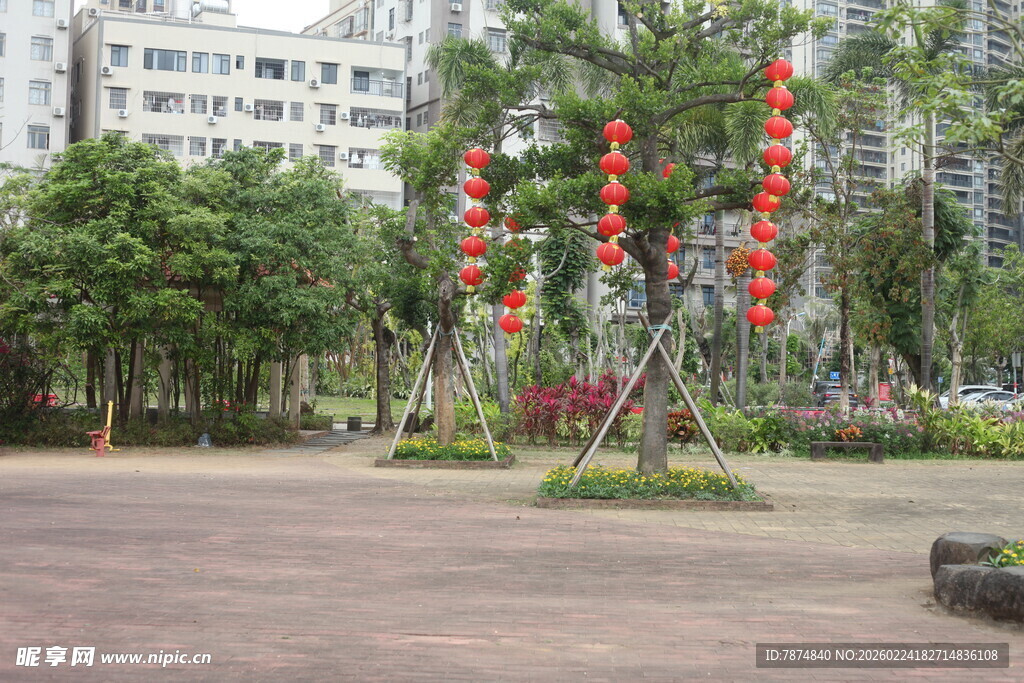 公园中挂着红灯笼的树木