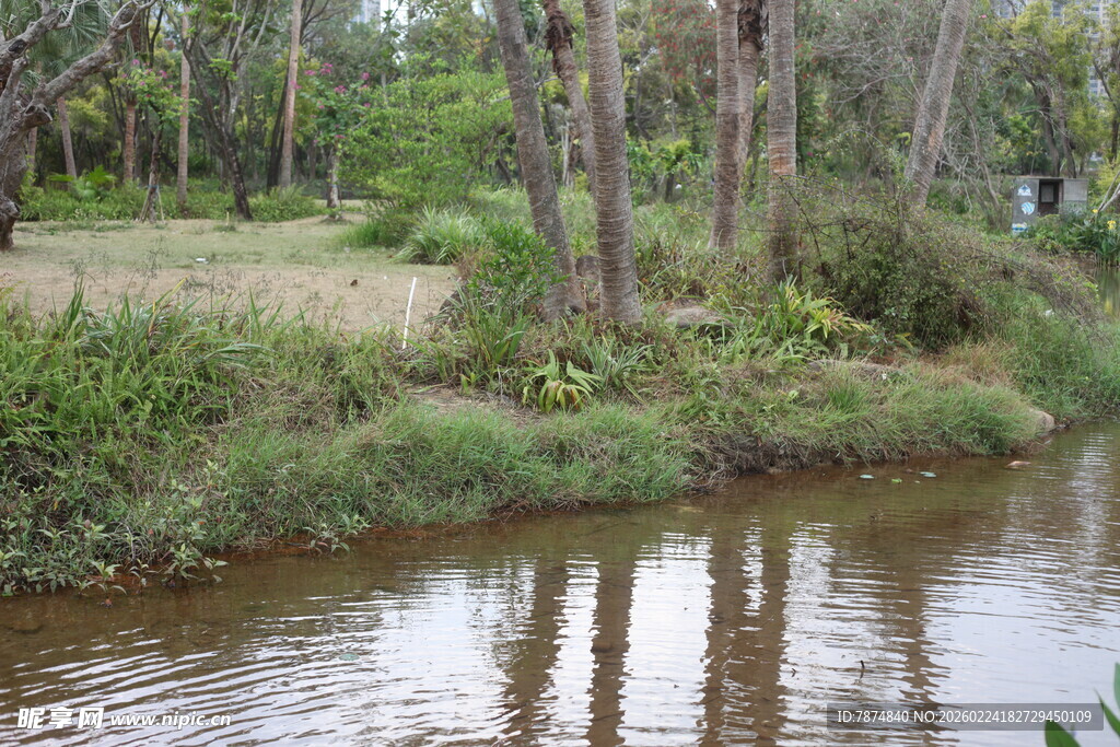 河边林间自然景致