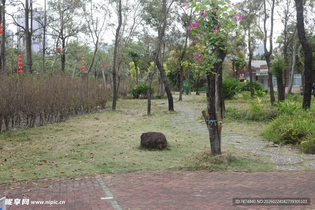 林间静谧小道 自然景致