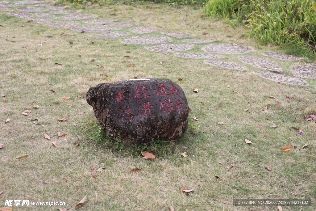 草地上的一块深色石头