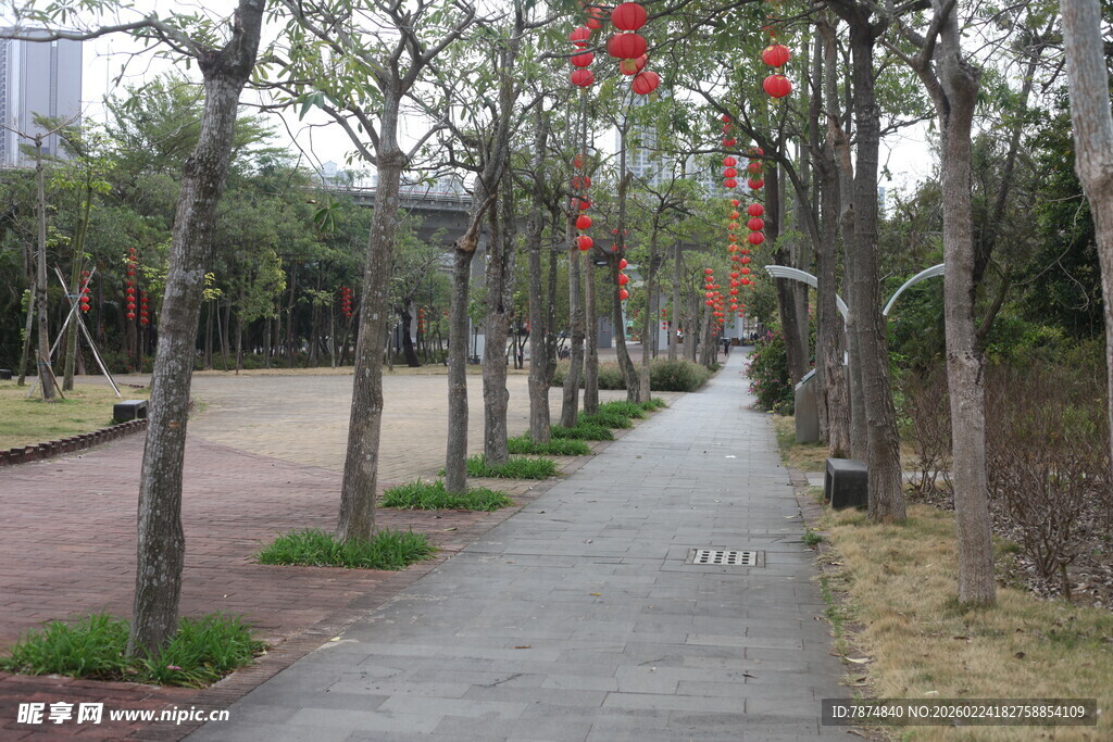 林荫小道挂红灯笼美景