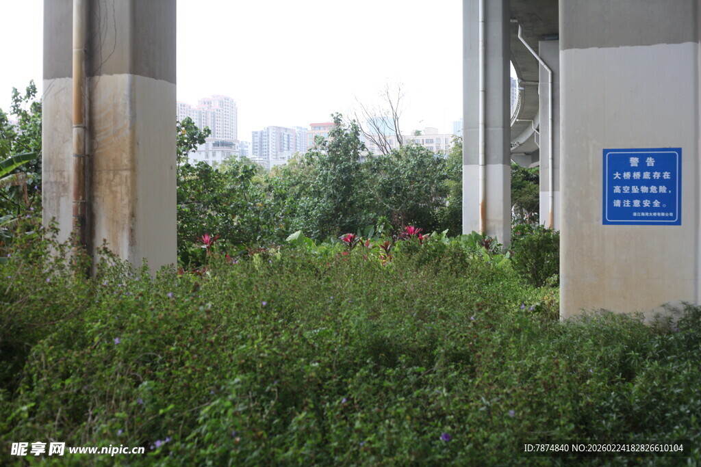 户外绿植旁的指示牌