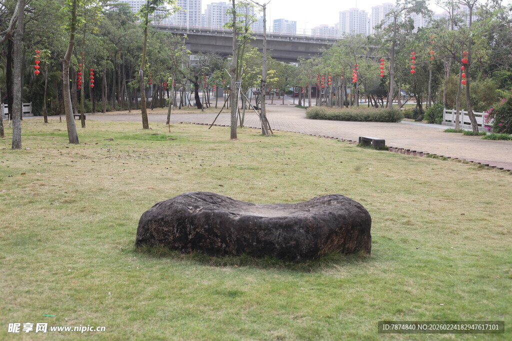 公园草坪上的独特造型石块